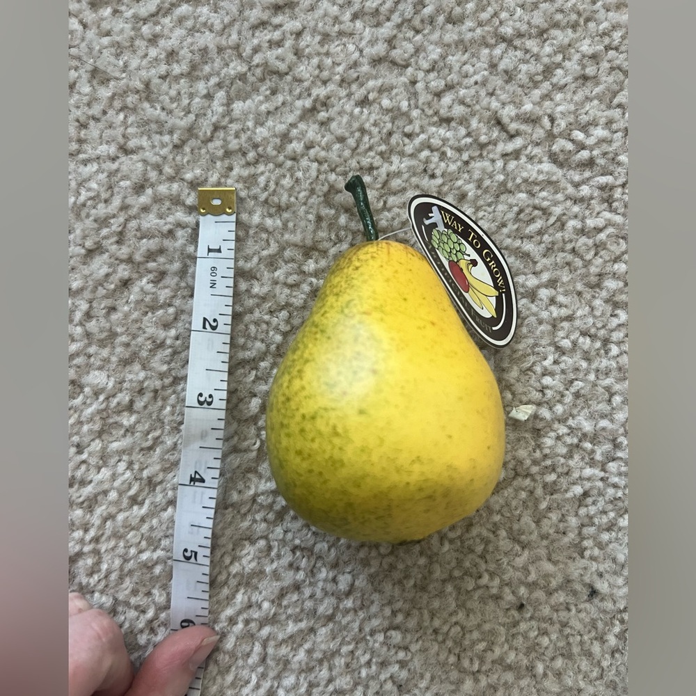 Set of 4 Faux Pears | Hobby Lobby “Way to Grow” Artificial Fruit - Picture 5 of 5